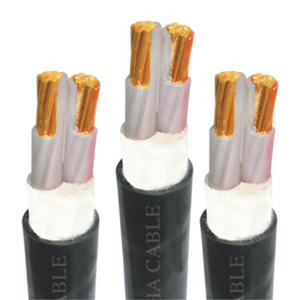 Picture of Cadivi Cable CXV -2x16 (2x7/1 70) -0 6/1kV