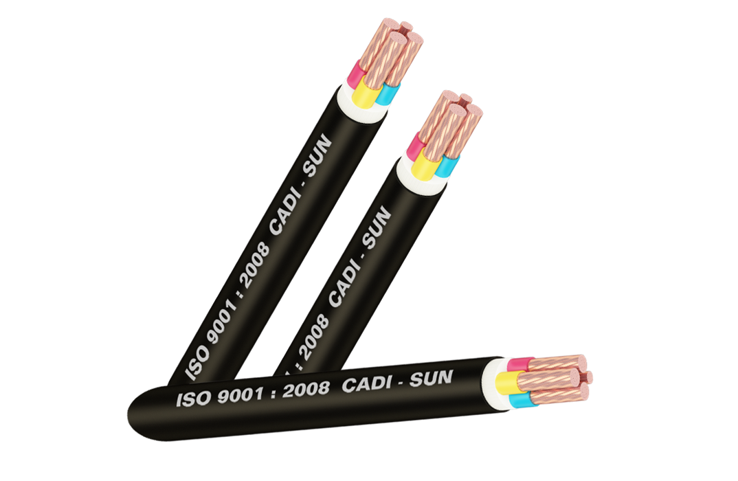 Picture of Cáp đồng 2 ruột bọc cách điện PVC vỏ bọc PVC/CVV2x6 - Cadisun