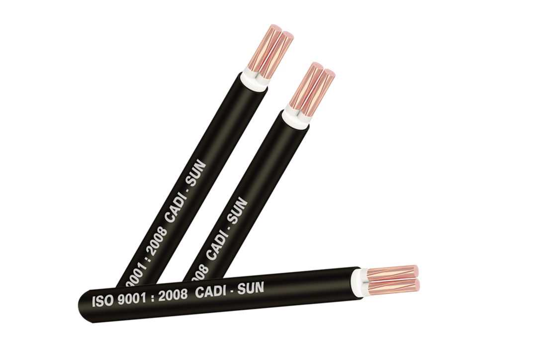 Picture of Cáp đồng 2 ruột bọc cách điện XLPE vỏ bọc PVC/CXV 2x4 - Cadisun