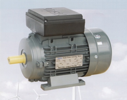 Picture of Motor TECO hạ thế một pha 1.1 kW 4 pole 