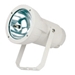 Picture of PS-01 & PS-02 HID floodlight