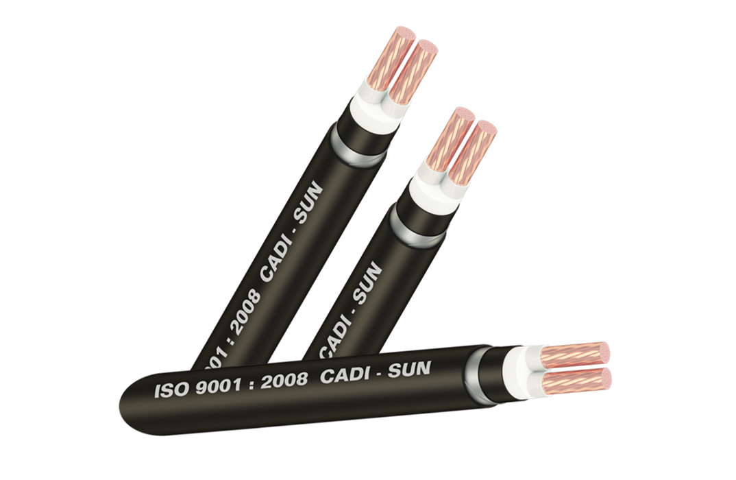 Picture of Cáp đồng ngầm 2 ruột DSTA 2x6 - Cadisun