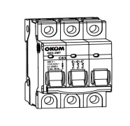 Picture of Aptomat MCB AG0633 C40 VINAKIP 