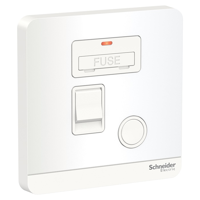 Picture of 13A 250V 1G Con hợp nhất với DP Sw&LED, WE