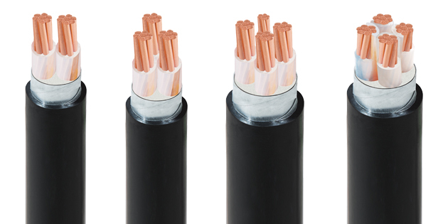 Picture for category Cáp hạ thế CXV
